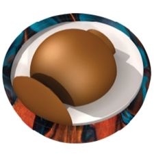 Ebonite Persevere Bowling Ball Core