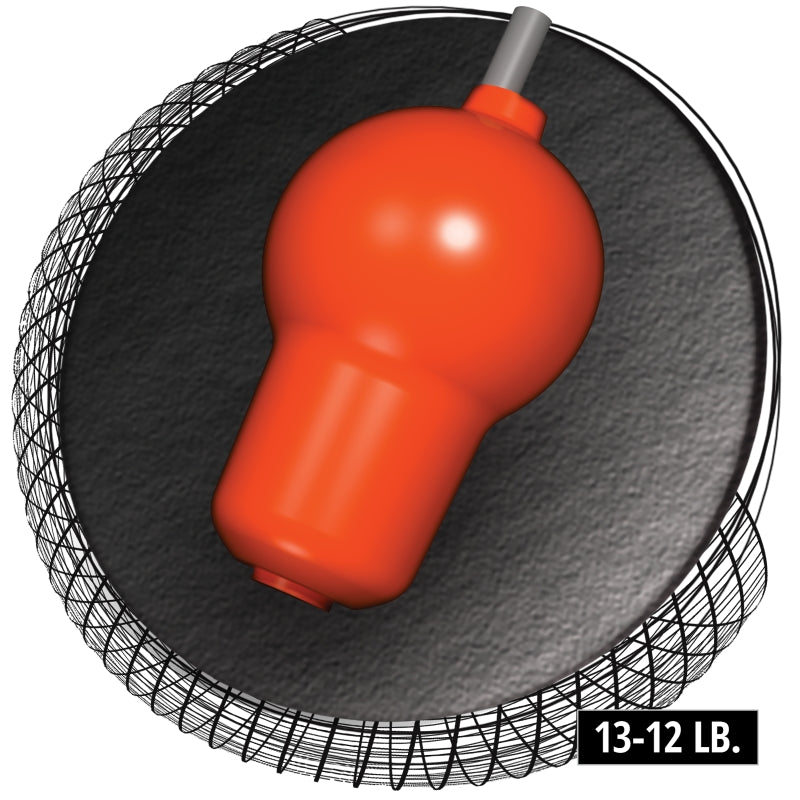 Hammer Scorpion Strike