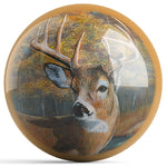 OnTheBall Kevin Daniel Back Forty Bucks Bowling Ball Front