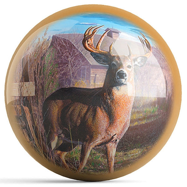 OnTheBall Kevin Daniel Back Forty Bucks Bowling Ball Back