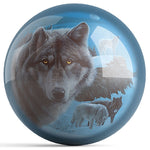 OnTheBall Kevin Daniel Night Watch Midnight Harmony Bowling Ball Front