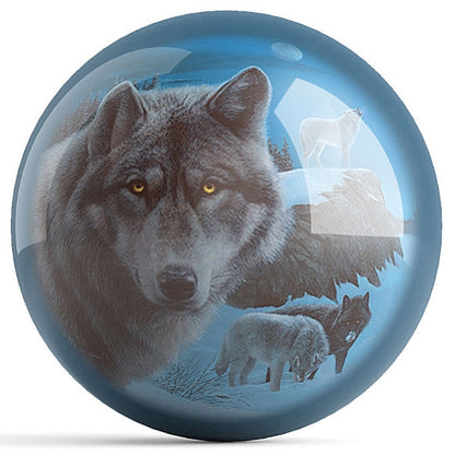 OnTheBall Kevin Daniel Night Watch Midnight Harmony Bowling Ball Front