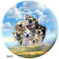 OnTheBall Animal Selfies Dogs Bowling Ball Back