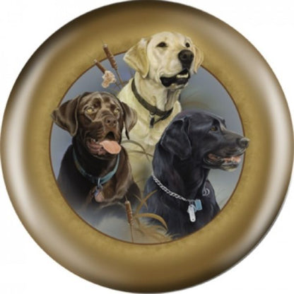 OnTheBall Three Labs Bowling Ball