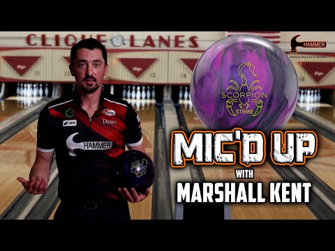 Hammer Scorpion Strike