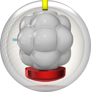 Storm Incite Bowling Ball Core